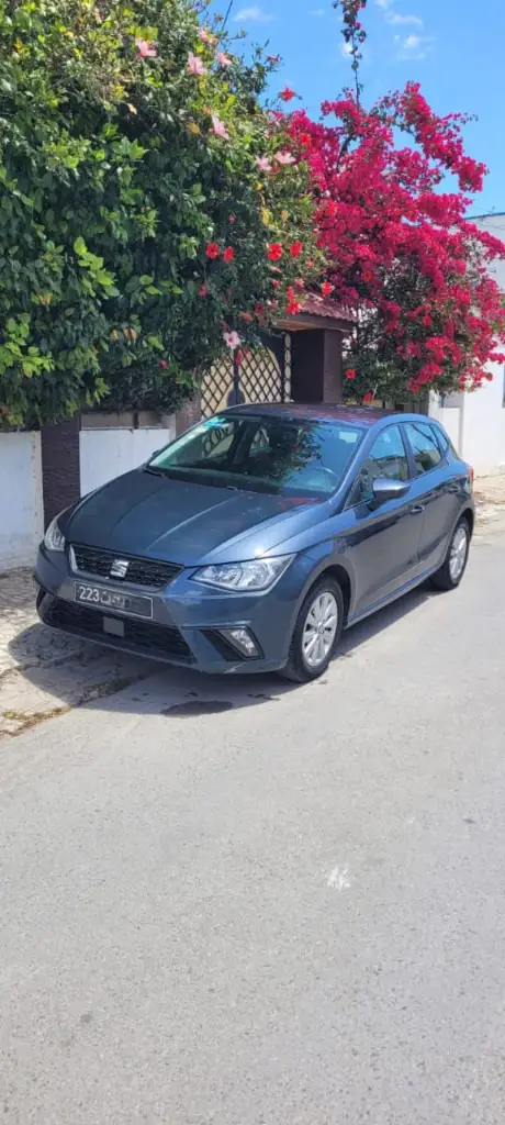 Seat Ibiza - Photo 9