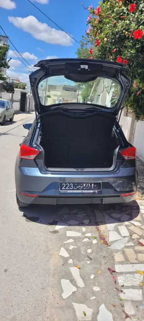 Seat Ibiza - Photo 11
