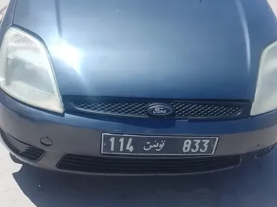 Ford Fiesta 2004 100 km