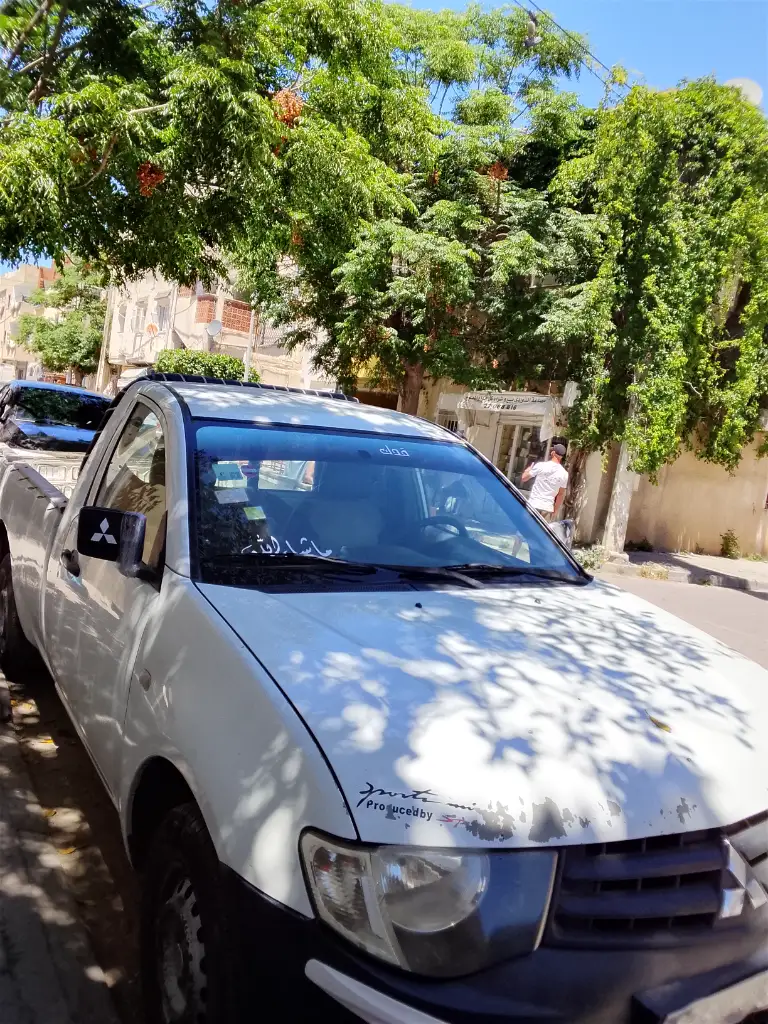 Mitsubishi Autres - Photo 2