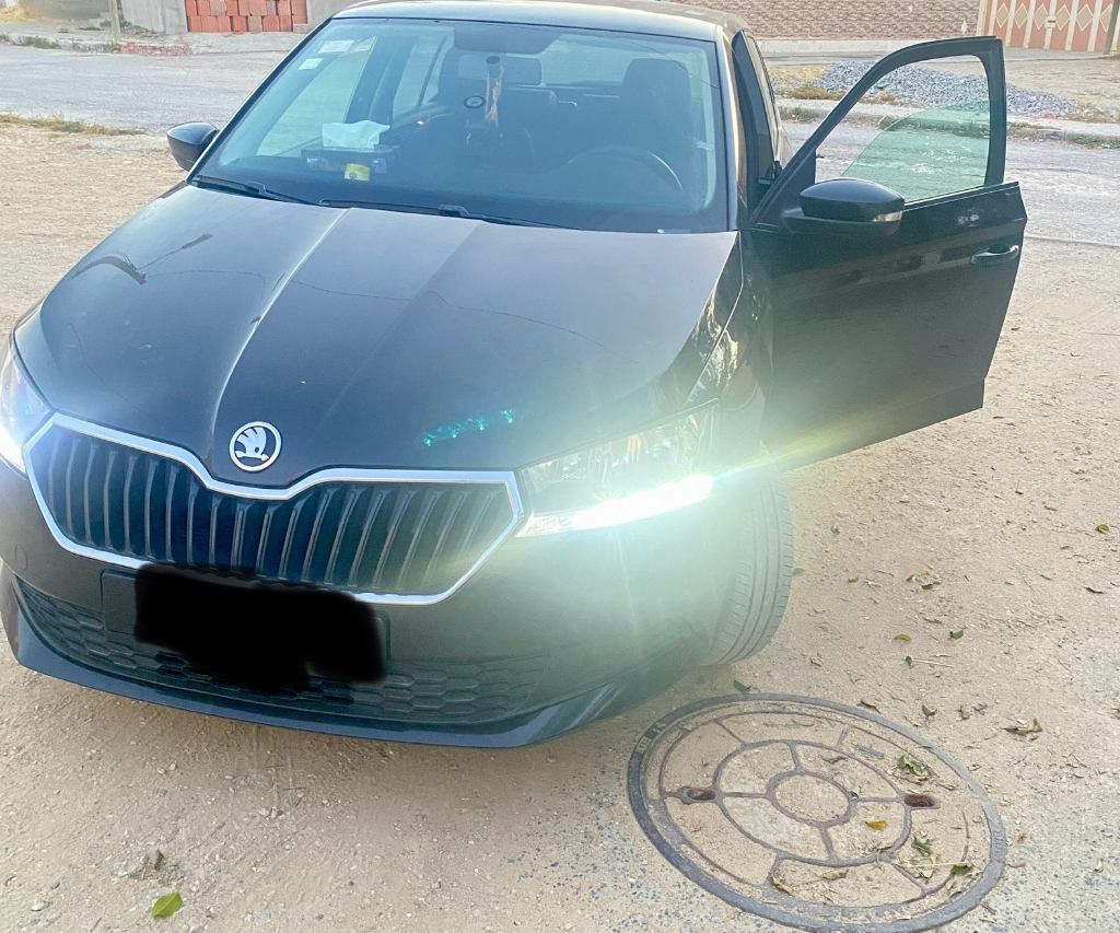 Skoda Fabia 2019