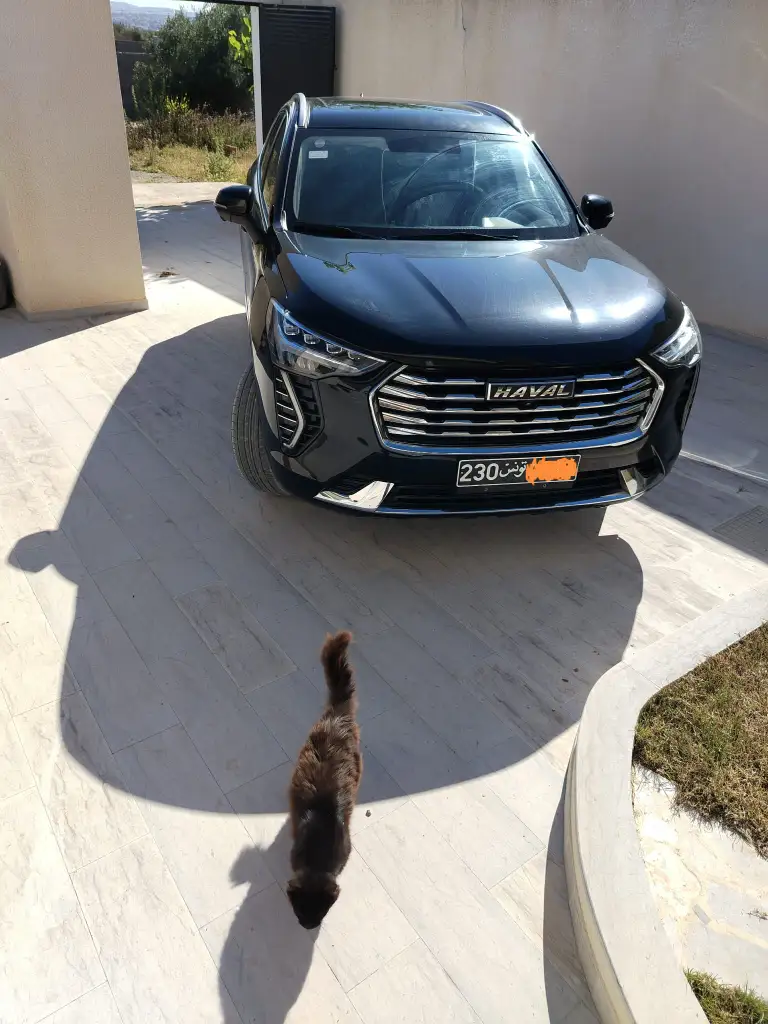 Haval Jolion - Photo 2