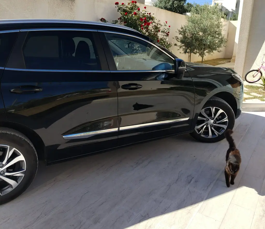 Haval Jolion - Photo 3