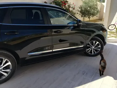 Haval Jolion - Photo 3