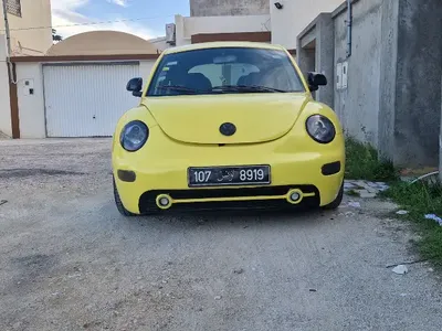 Volkswagen Beetle 2003 295000 km