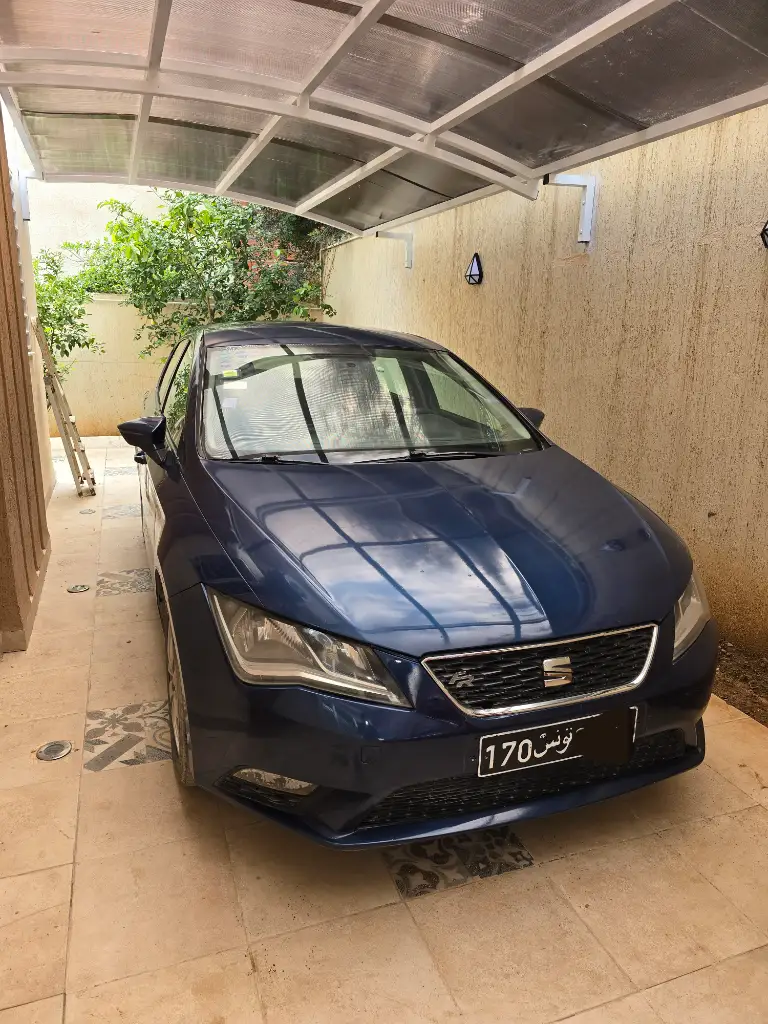 Seat Leon 2013