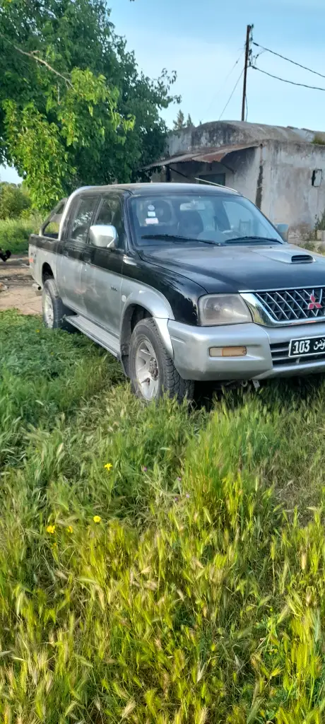 Mitsubishi Autres 2003