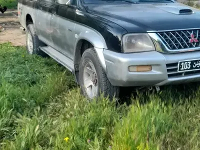 Mitsubishi Autres - Mitsubishi Autres 2003 325 km
