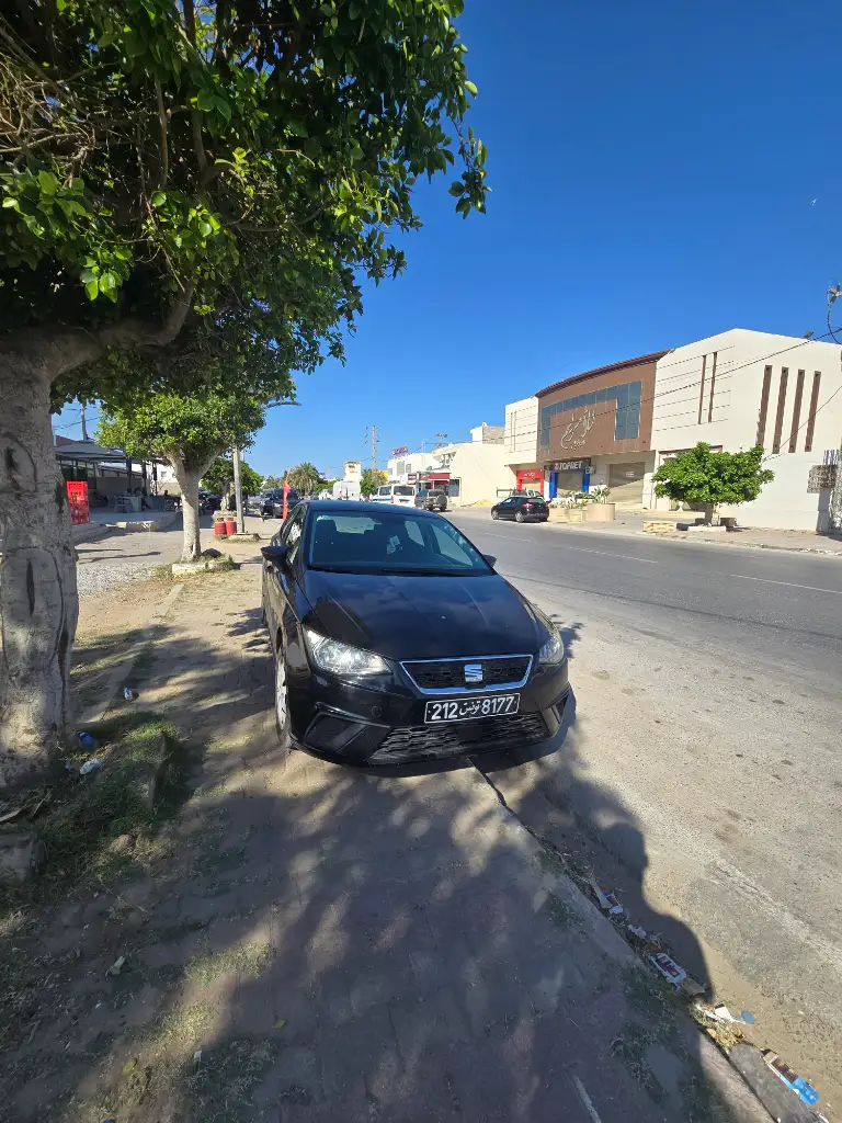 Seat Ibiza 2021