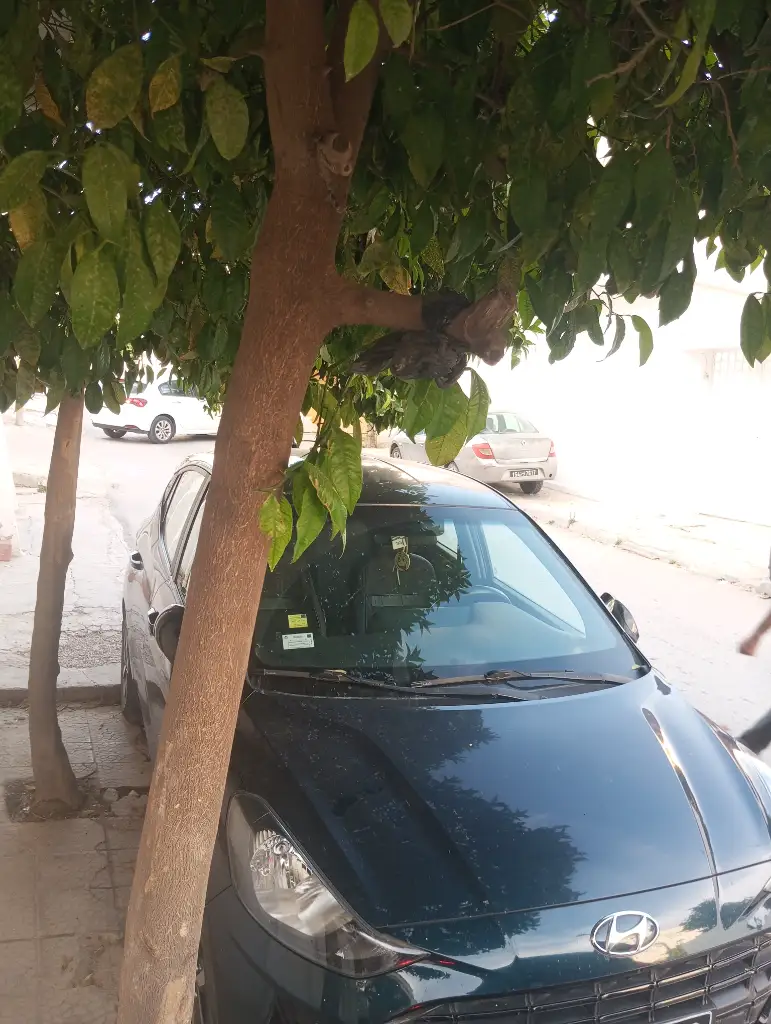 Hyundai I10 - Photo 3