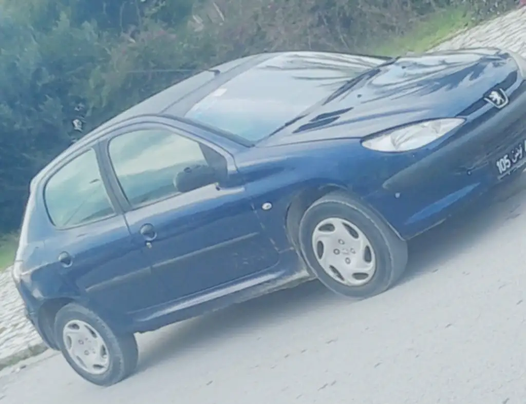 Peugeot 206 - Photo 2