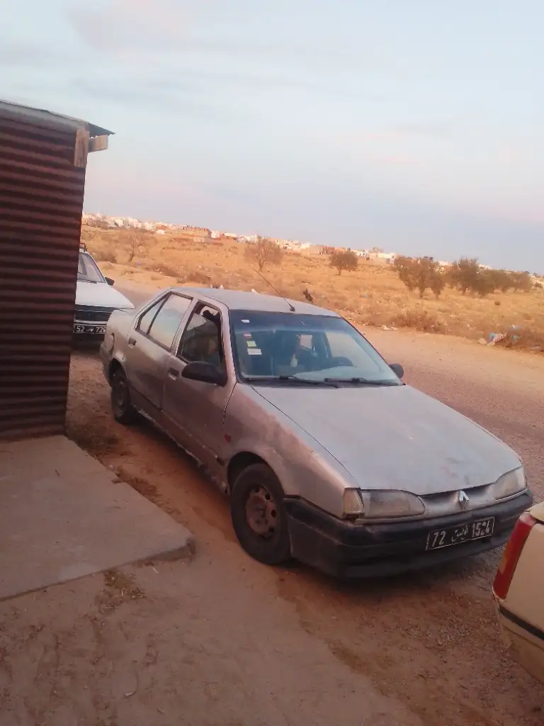 Renault R19 2003