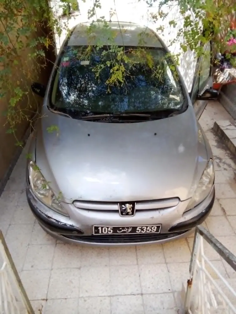 Peugeot 307 2002