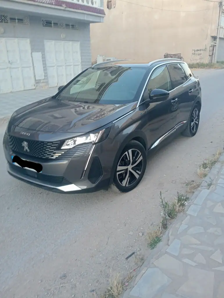 Peugeot 3008 - Photo 2