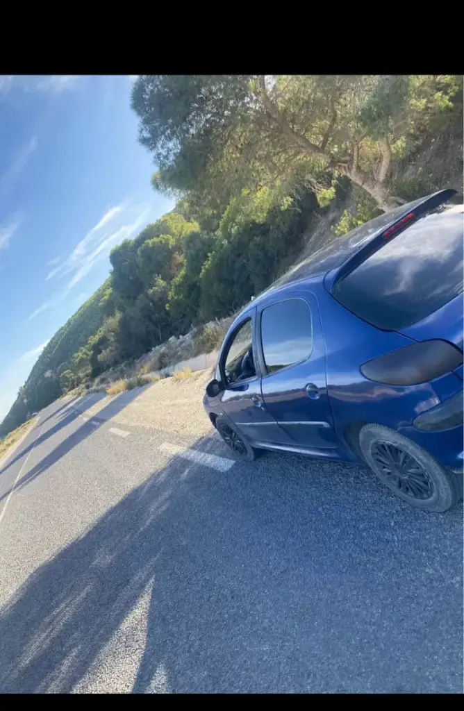 Peugeot 206 - Photo 3