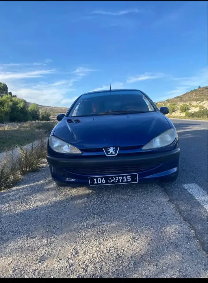 Peugeot 206 2001