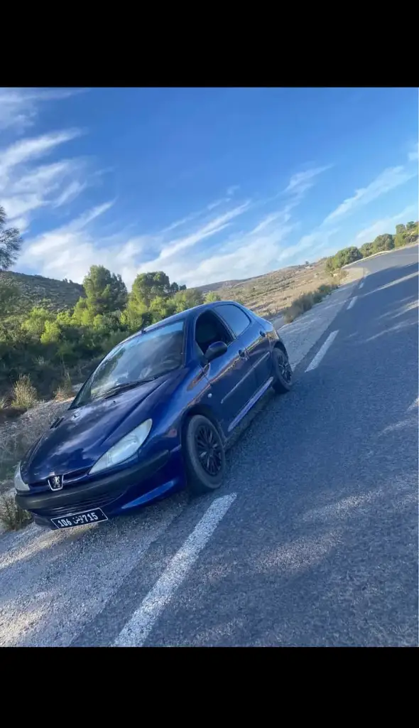 Peugeot 206 - Photo 4