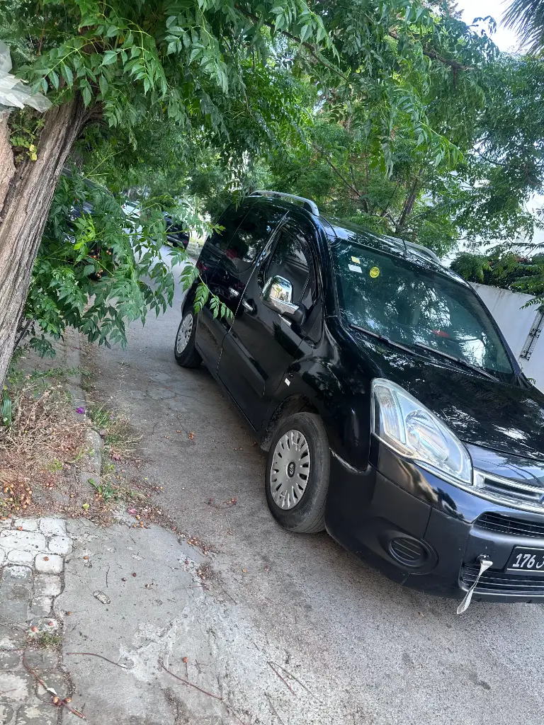 Citroen BERLINGO - Photo 2