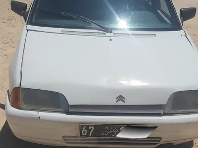 Citroen Ax 1993 