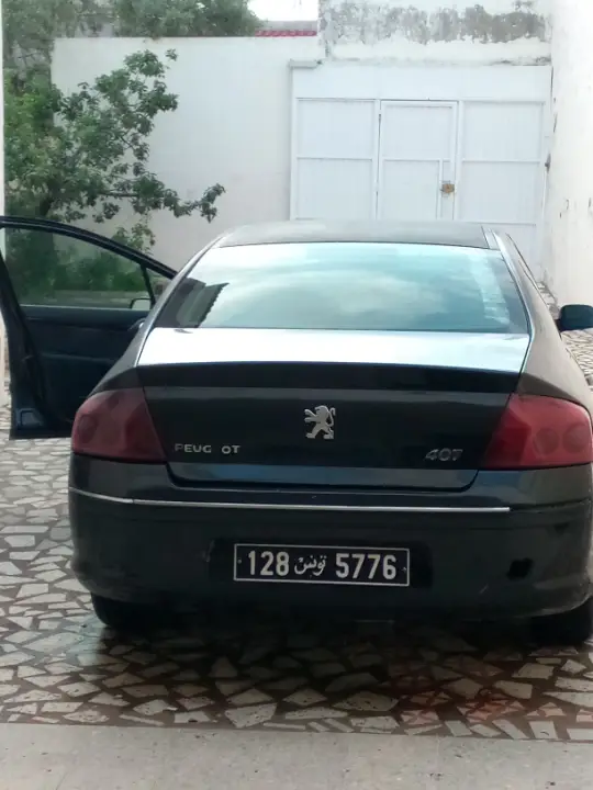 Peugeot 406 - Photo 2