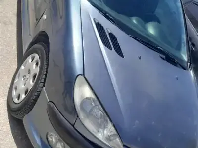 Peugeot 206 - Photo 9