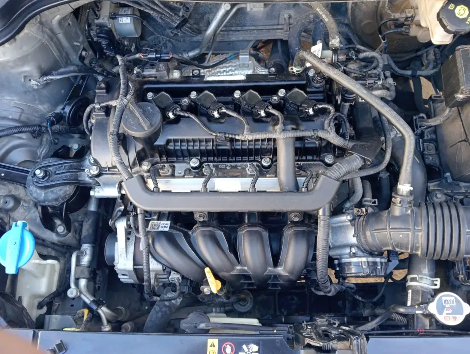 Kia RIO - Photo 3