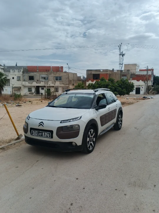 Citroen C4 CACTUS - Photo 12