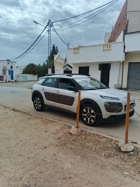 Citroen C4 CACTUS - Photo 11