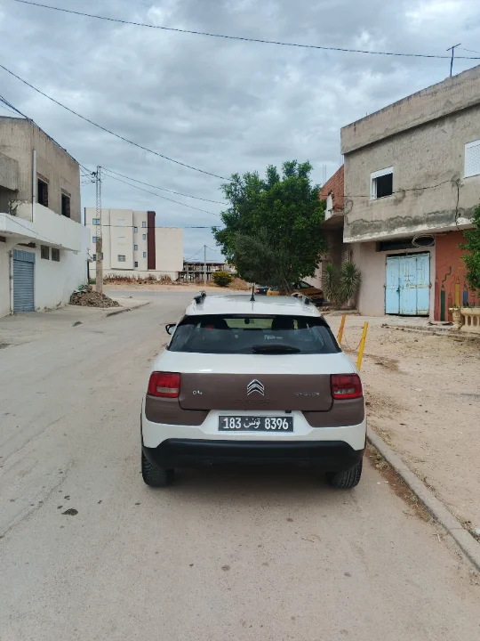 Citroen C4 CACTUS - Photo 10