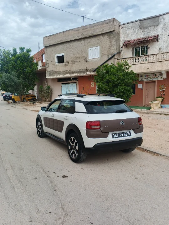 Citroen C4 CACTUS - Photo 9