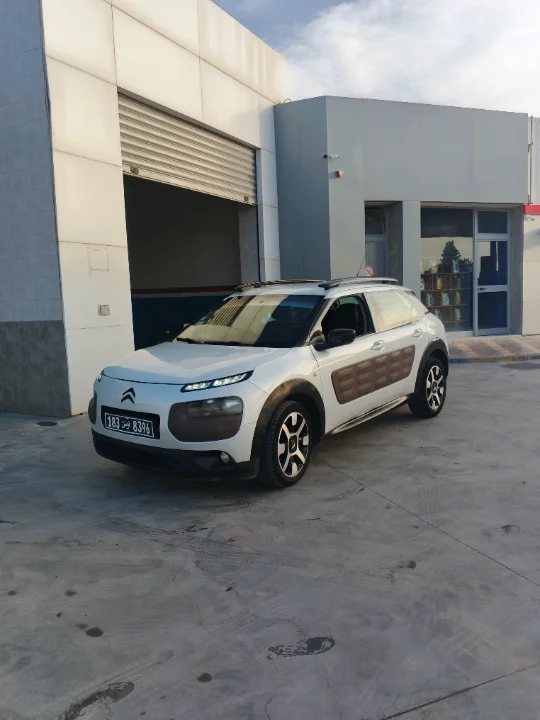 Citroen C4 CACTUS - Photo 8