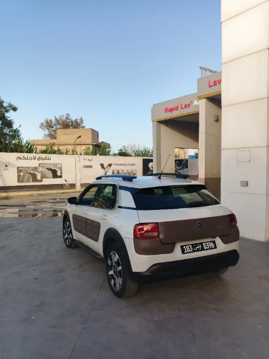 Citroen C4 CACTUS - Photo 7
