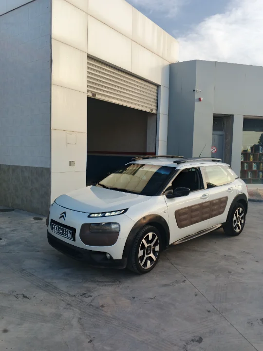 Citroen C4 CACTUS - Photo 6