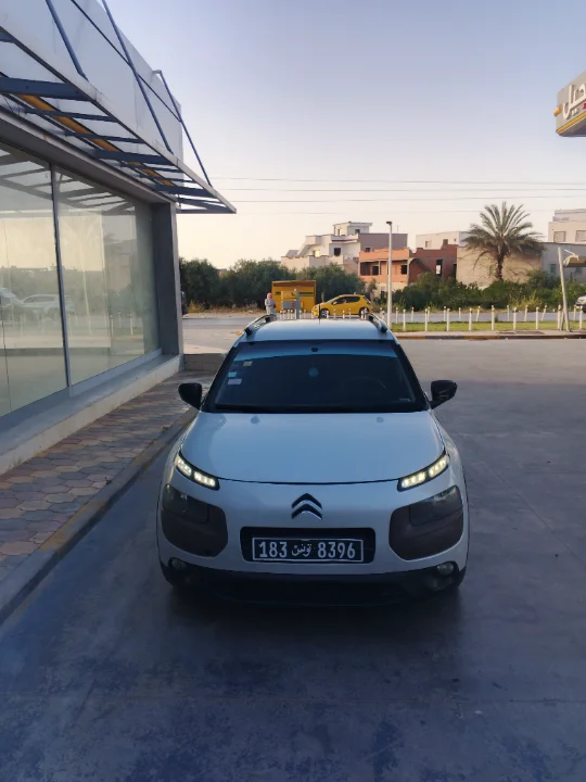 Citroen C4 CACTUS - Photo 5