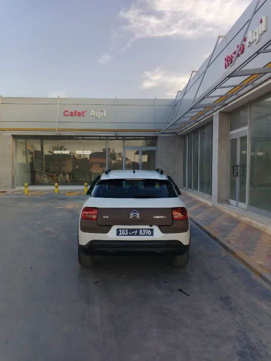 Citroen C4 CACTUS - Photo 4