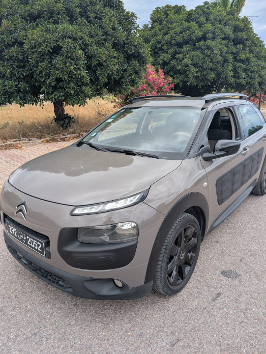 Citroen C4 CACTUS - Photo 5