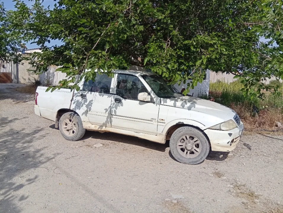 Ssangyong e-MUSSO - Photo 6