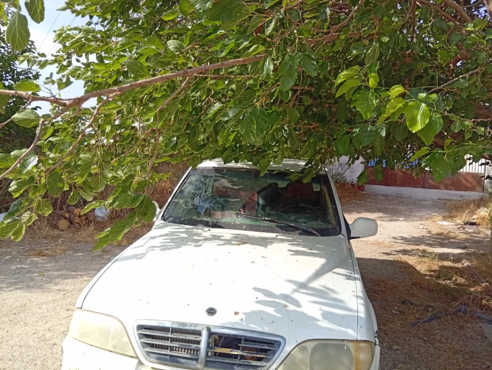 Ssangyong e-MUSSO - Photo 4