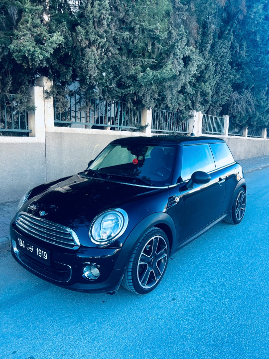 Mini AUTRE 2013