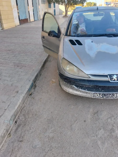 Peugeot 206 2002 - 300 000 km - Essence