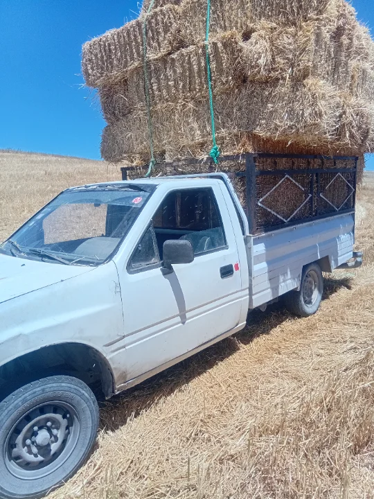 Isuzu SERIE N - Photo 5