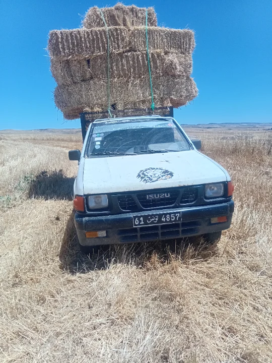 Isuzu SERIE N 1991
