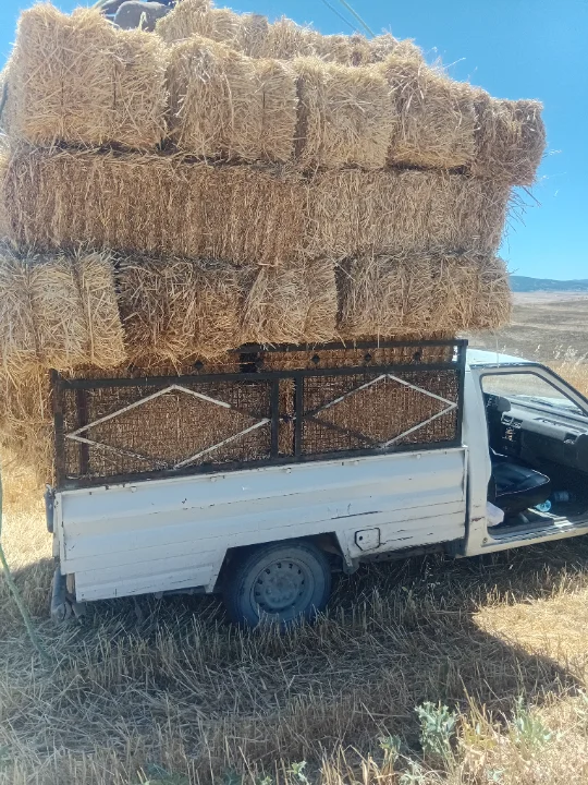 Isuzu SERIE N - Photo 3