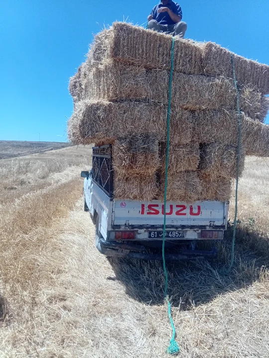 Isuzu SERIE N - Photo 2