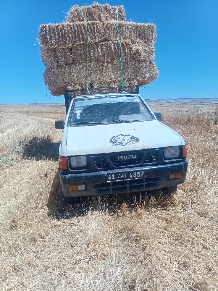 Isuzu SERIE N  Diesel
