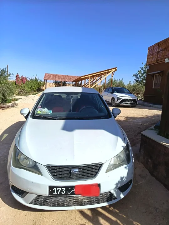 Seat Ibiza 2014