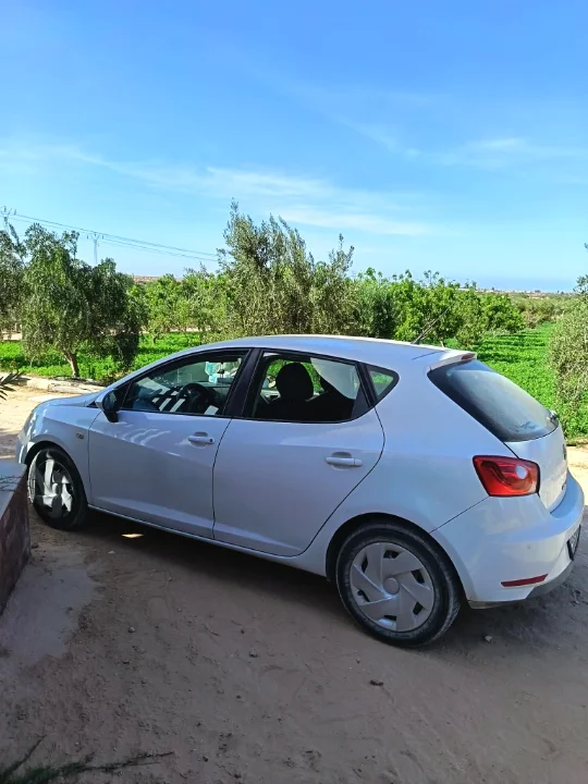 Seat Ibiza - Photo 10