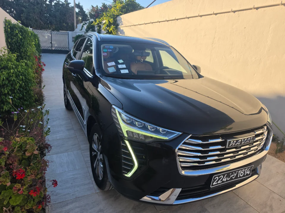Haval Jolion - Photo 3