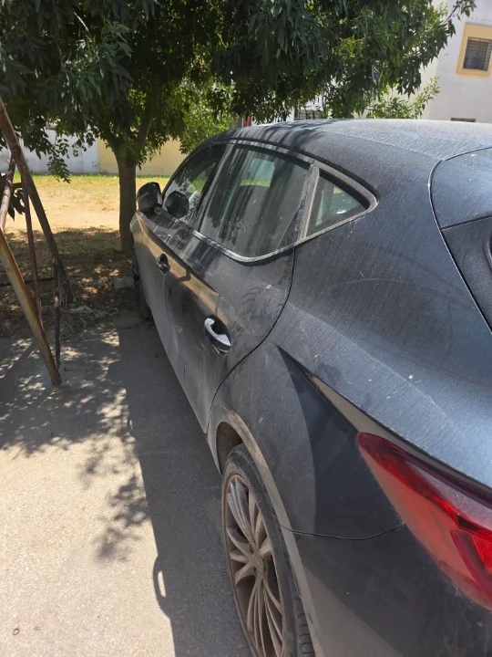 Seat Leon - Photo 6