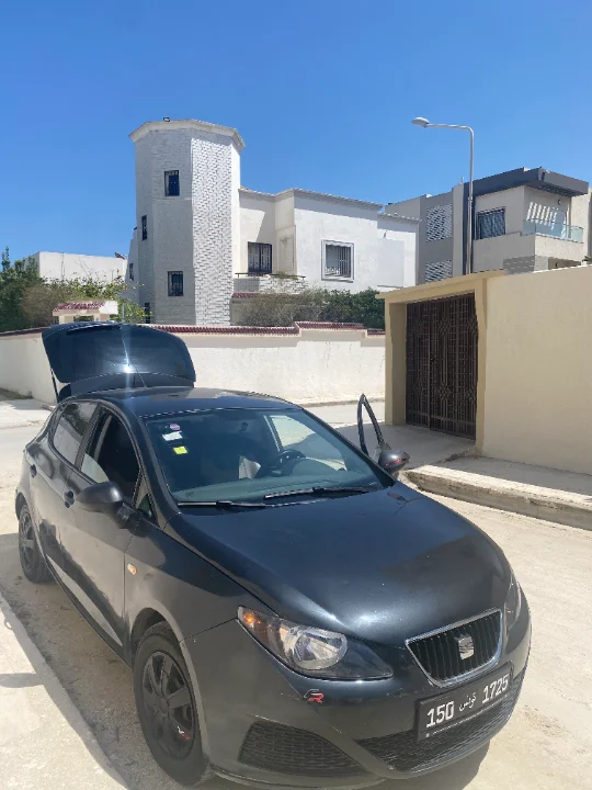 Seat Ibiza 2011